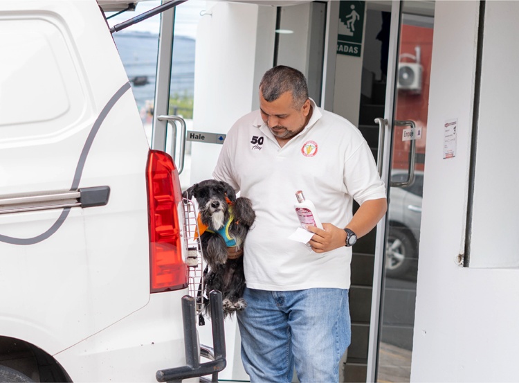 4. COMODIDAD Y SERVICIOS- INSTALACIONES_ENVÍOS Y TRANSPORTE