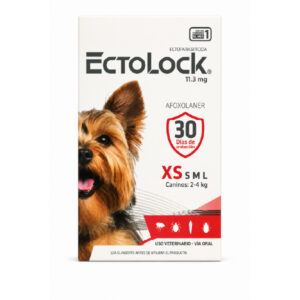 EctoLock XS