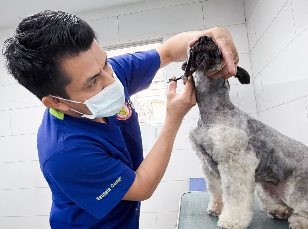 estética-veterinaria-san-salvador