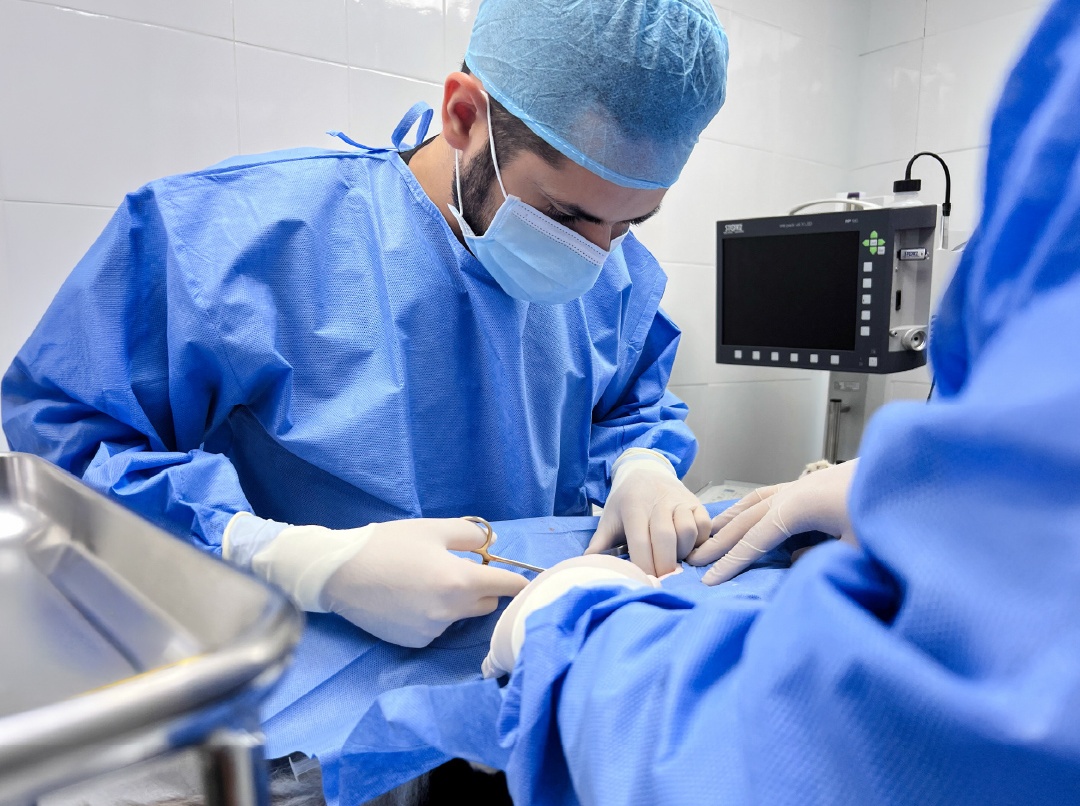 quirófano-veterinaria-los-heroes-san-salvador